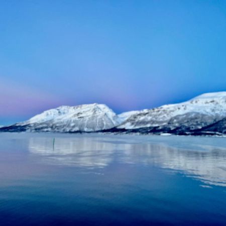 Manndalen Sjobuer Villa Samuelsberg Exteriör bild