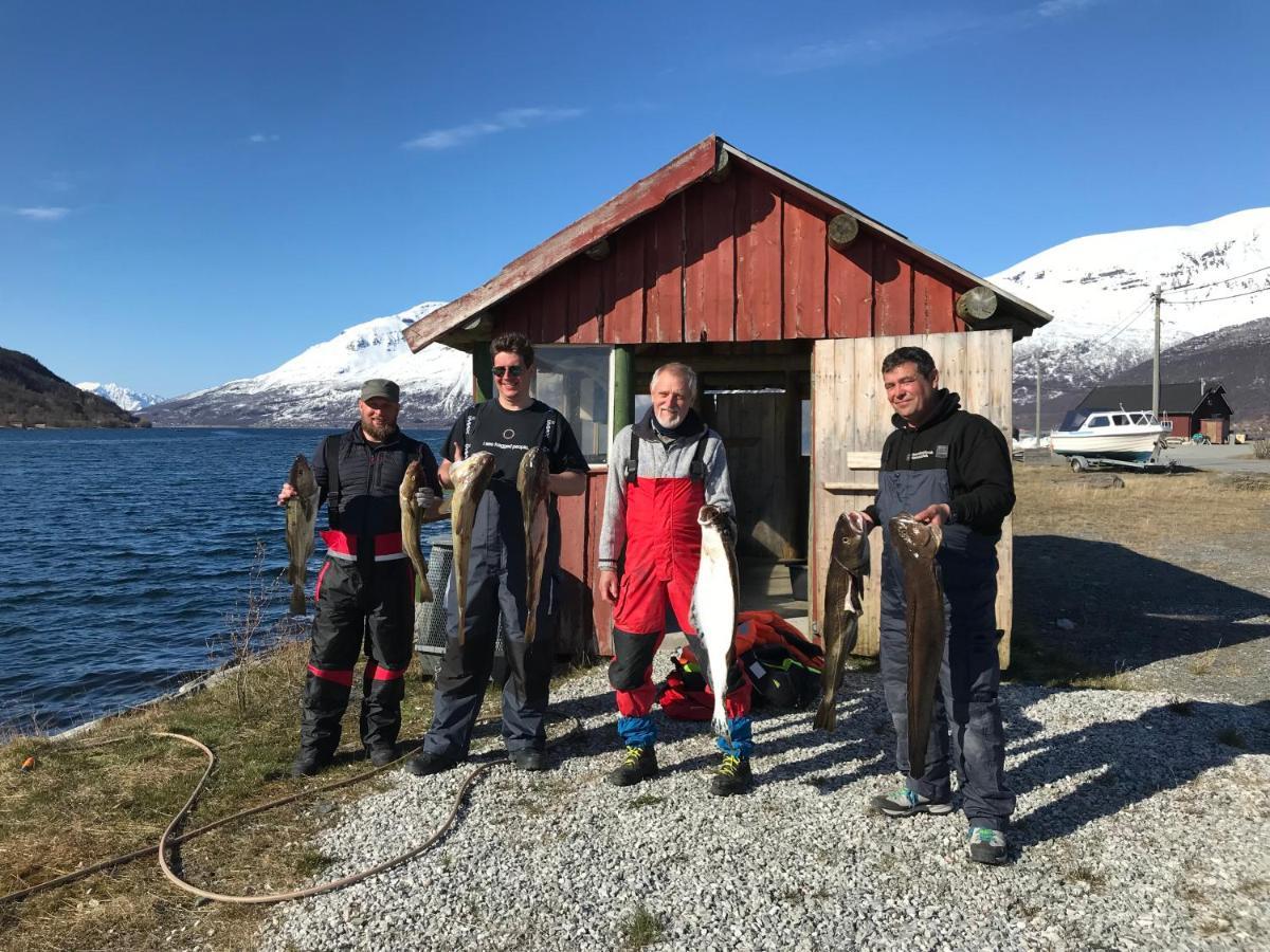 Manndalen Sjobuer Villa Samuelsberg Exteriör bild